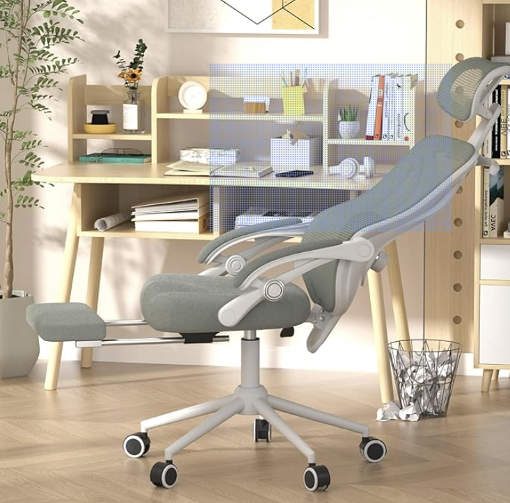 Ergonomic Office Chair with Footrest for home office