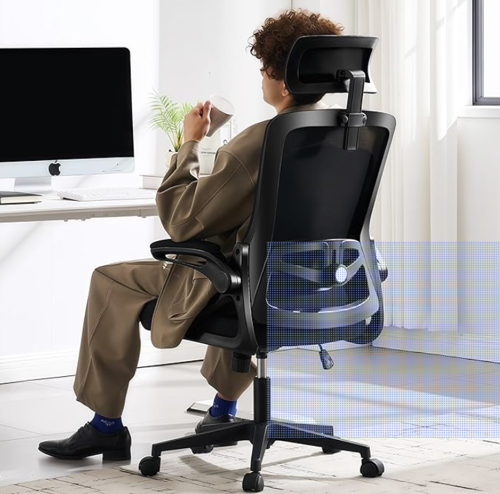 Fizzin Ergonomic Office Chair, 400 LBS Computer Chairs